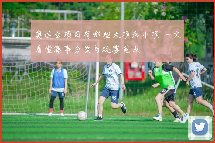 奥运会项目有哪些大项和小项 一文看懂赛事分类与观赛重点