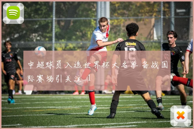 中超球员入选世界杯大名单 备战国际赛场引关注_1