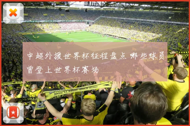 中超外援世界杯征程盘点 哪些球员曾登上世界杯赛场