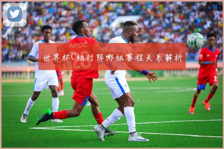 世界杯C组对阵哪组赛程关系解析